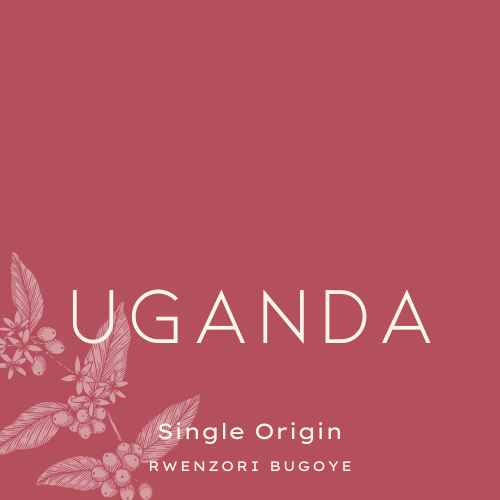 Uganda - Rwenzori Bugoye
